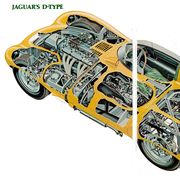 jaguar d type cutaway graphic