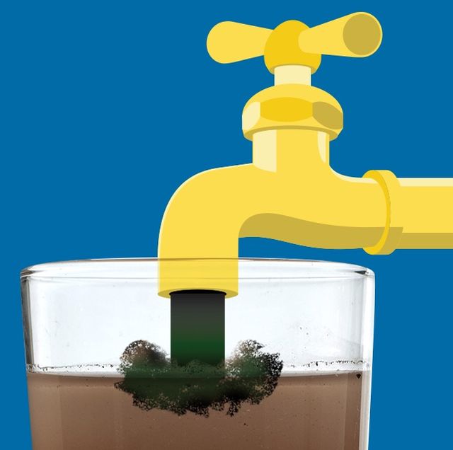 Water, Plant, Tap, 