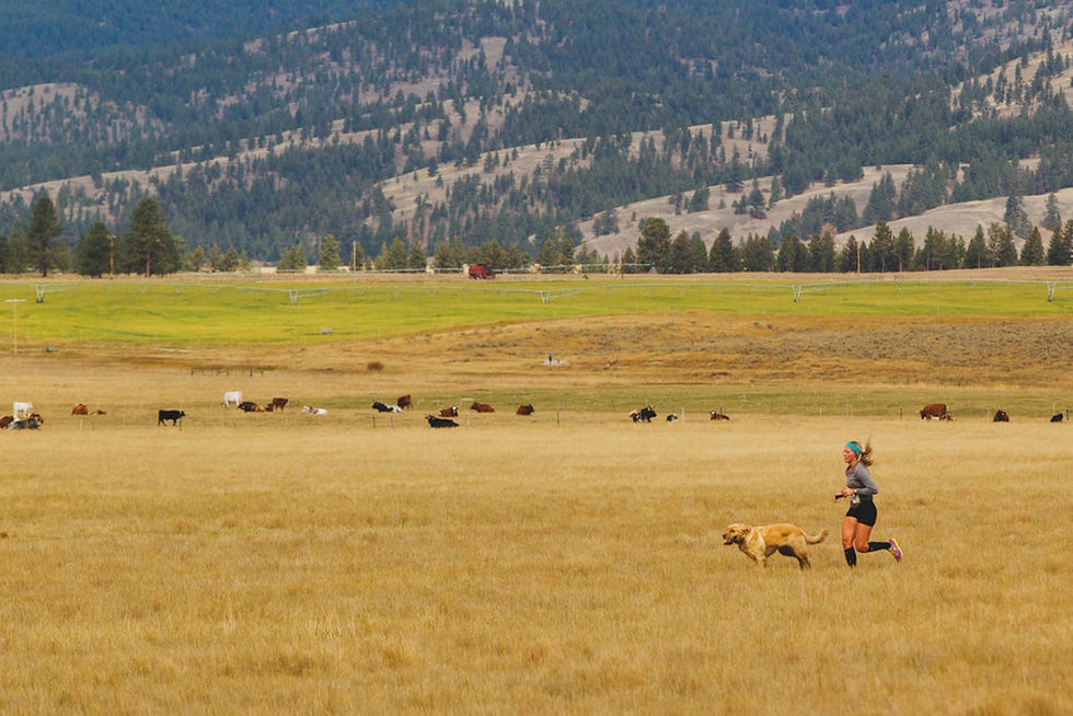 A person jogging with a dog in a rural landscape. A person jogging with a dog in a rural landscape.