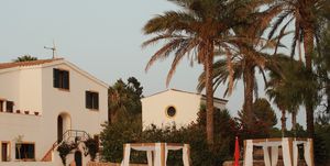 piscina y patio con palmeras y hamacas en el hotel llucatx
