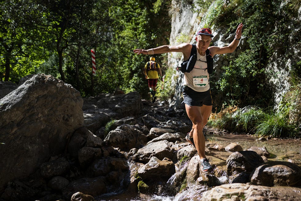 Water, Adventure racing, Jungle, Wilderness, Trail, Recreation, Adventure, Rock, Watercourse, Old-growth forest, 