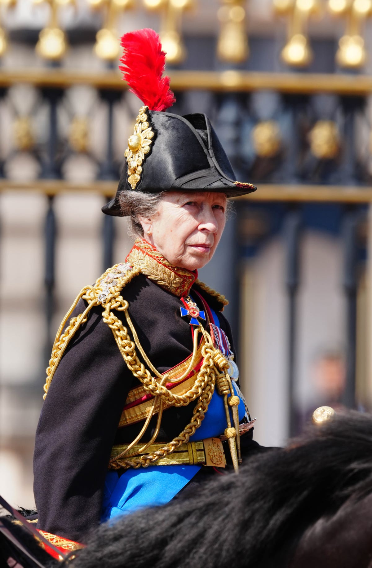 Princess Anne Makes a Triumphant Return at Trooping the Colour