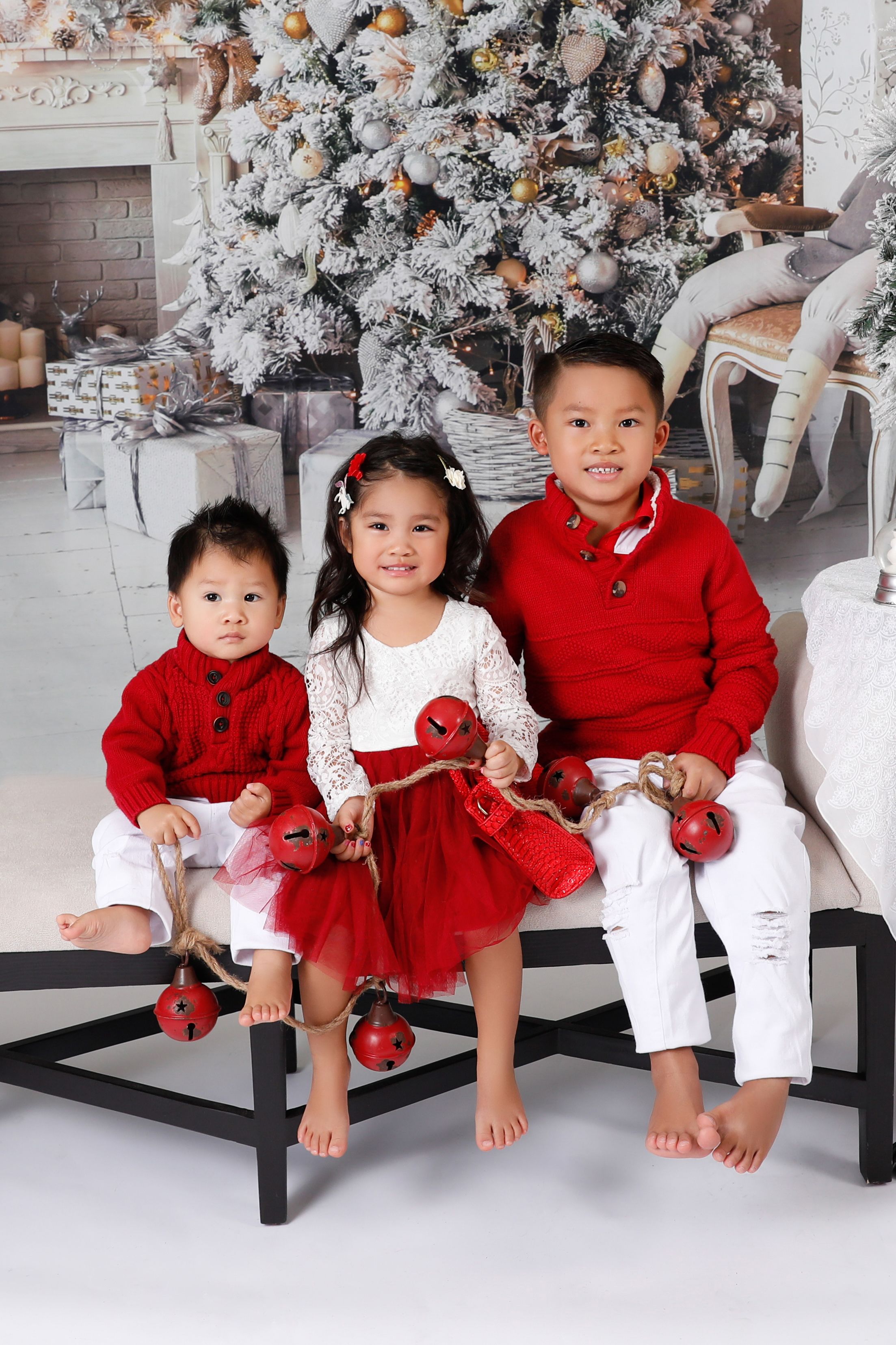 christmas card picture ideas for families
