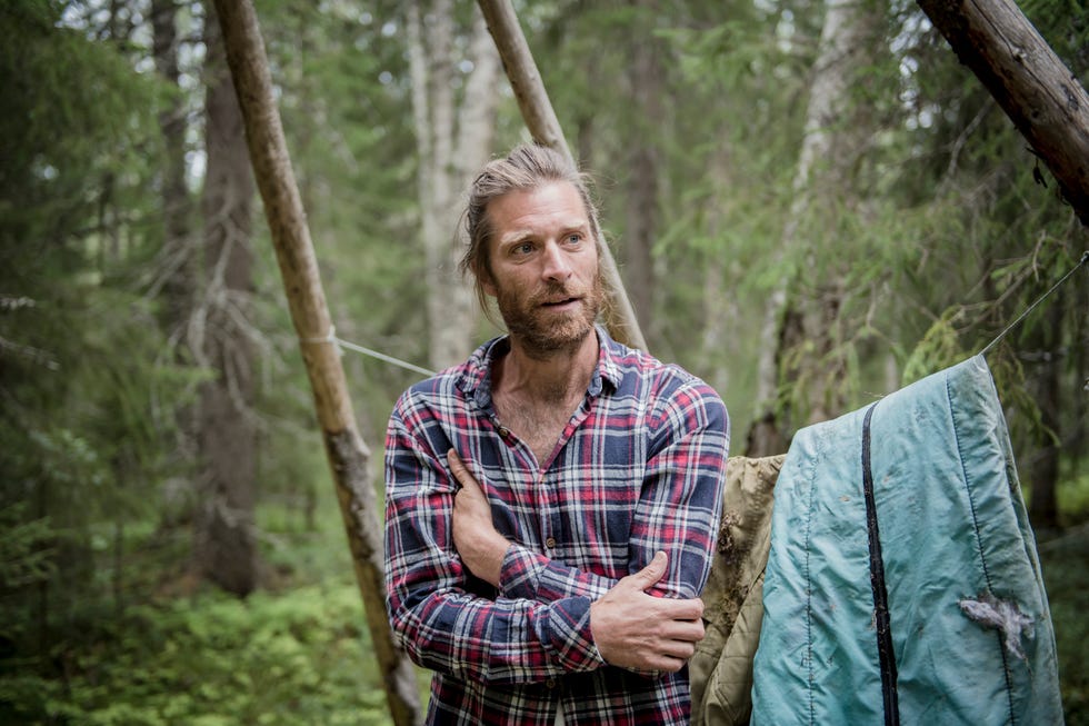 People in nature, Natural environment, Forest, Tree, Plaid, Tartan, Woodland, Adaptation, Jungle, Old-growth forest, 