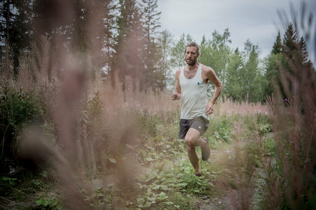 People in nature, Photograph, Atmospheric phenomenon, Running, Outdoor recreation, Cross country running, Trail, Woodland, Recreation, Ultramarathon, 