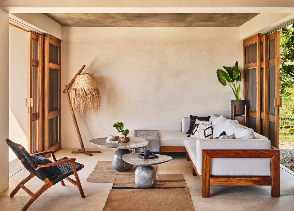 Modern living space featuring natural materials and plants