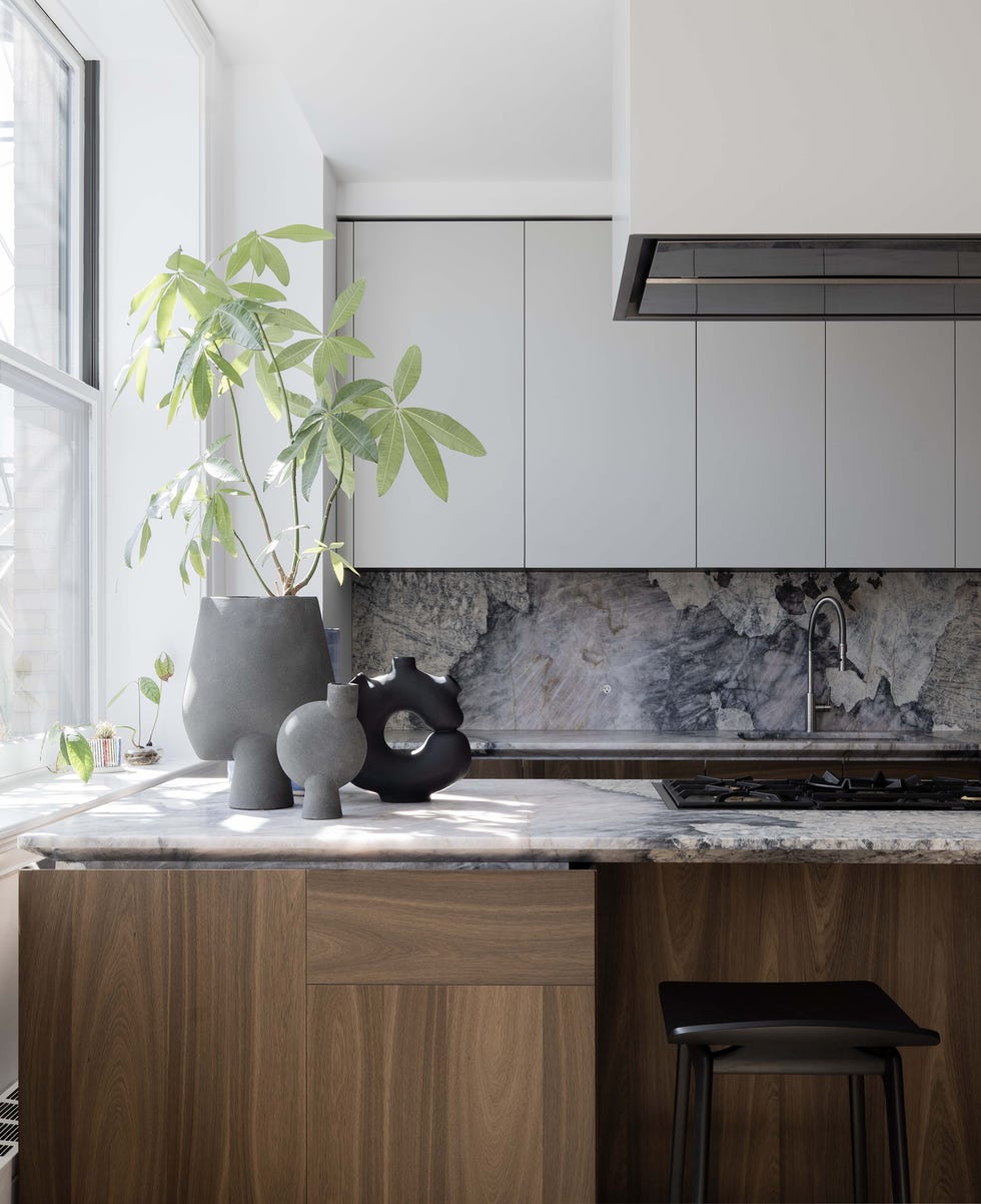 Modern kitchen countertop with plants and decorative vases
