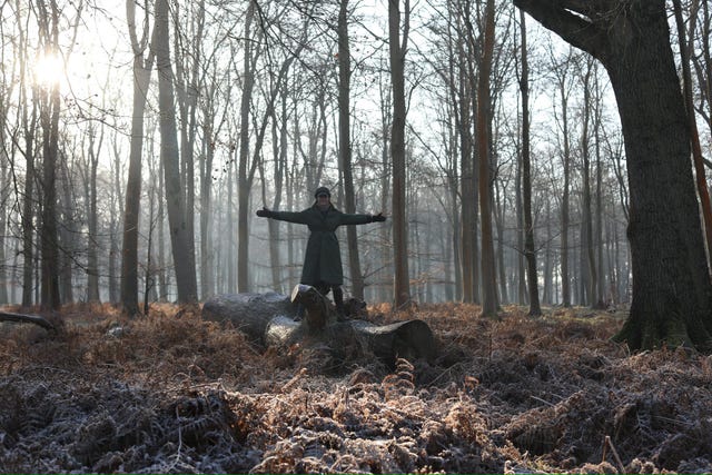 Person standing on a fallen log in a forest during early morning mist.
