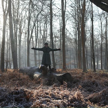 Person standing on a fallen log in a forest during early morning mist. Person standing on a fallen log in a forest during early morning mist.