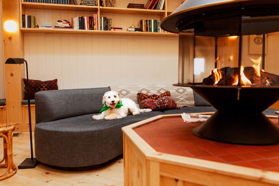 Cozy living room with a modern sofa, decorative pillows, and a central fireplace. Cozy living room with a modern sofa, decorative pillows, and a central fireplace.