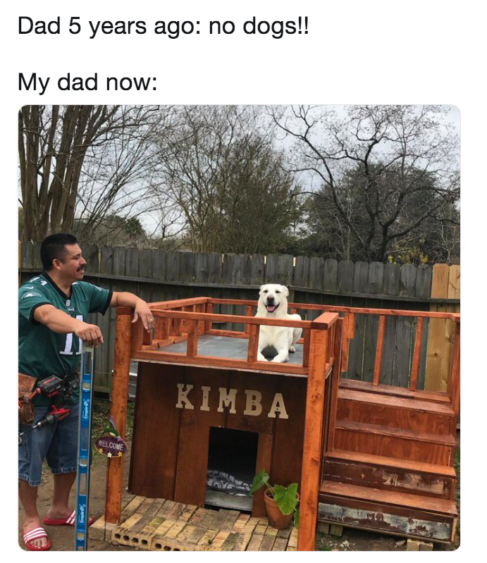dad dog meme