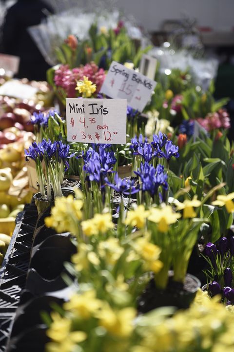Daffodils on sale at a Farmer's market
