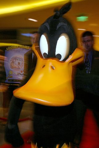 daffy duck for president campaign rally press conference