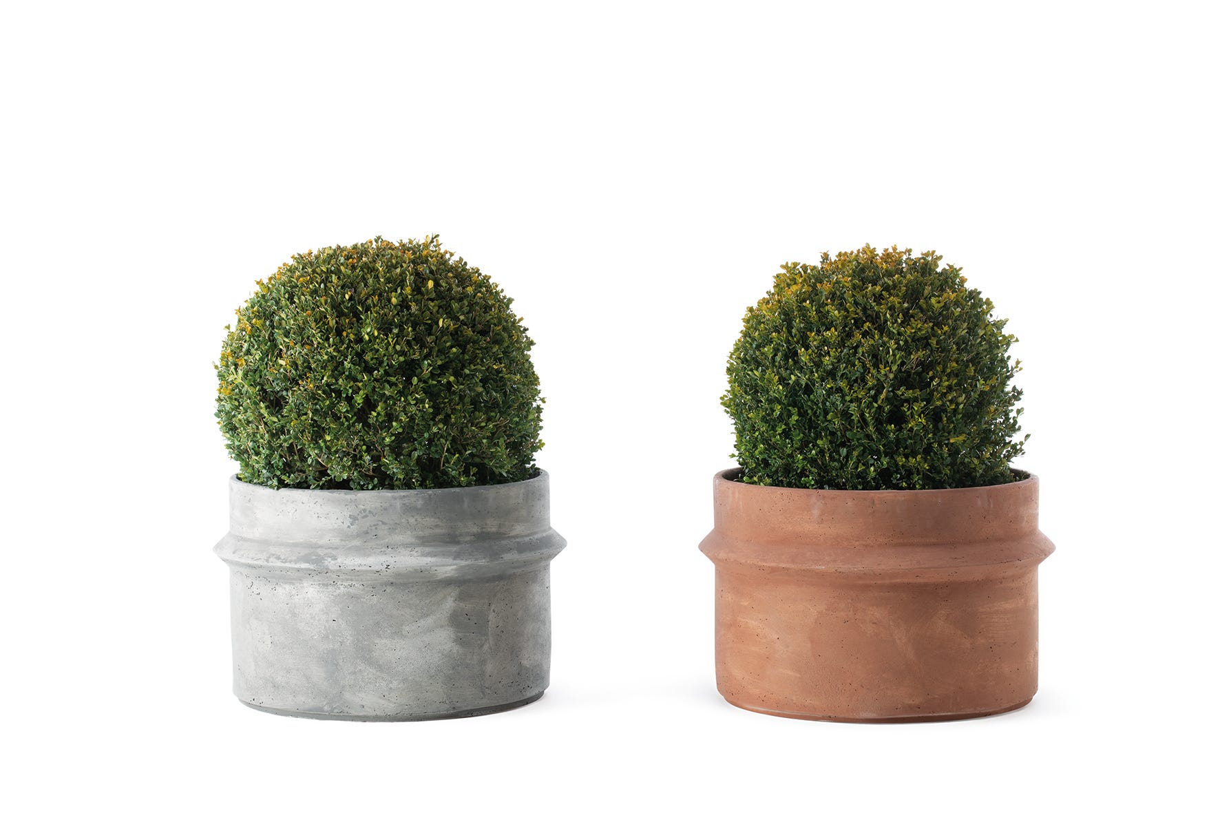 bulbi planters