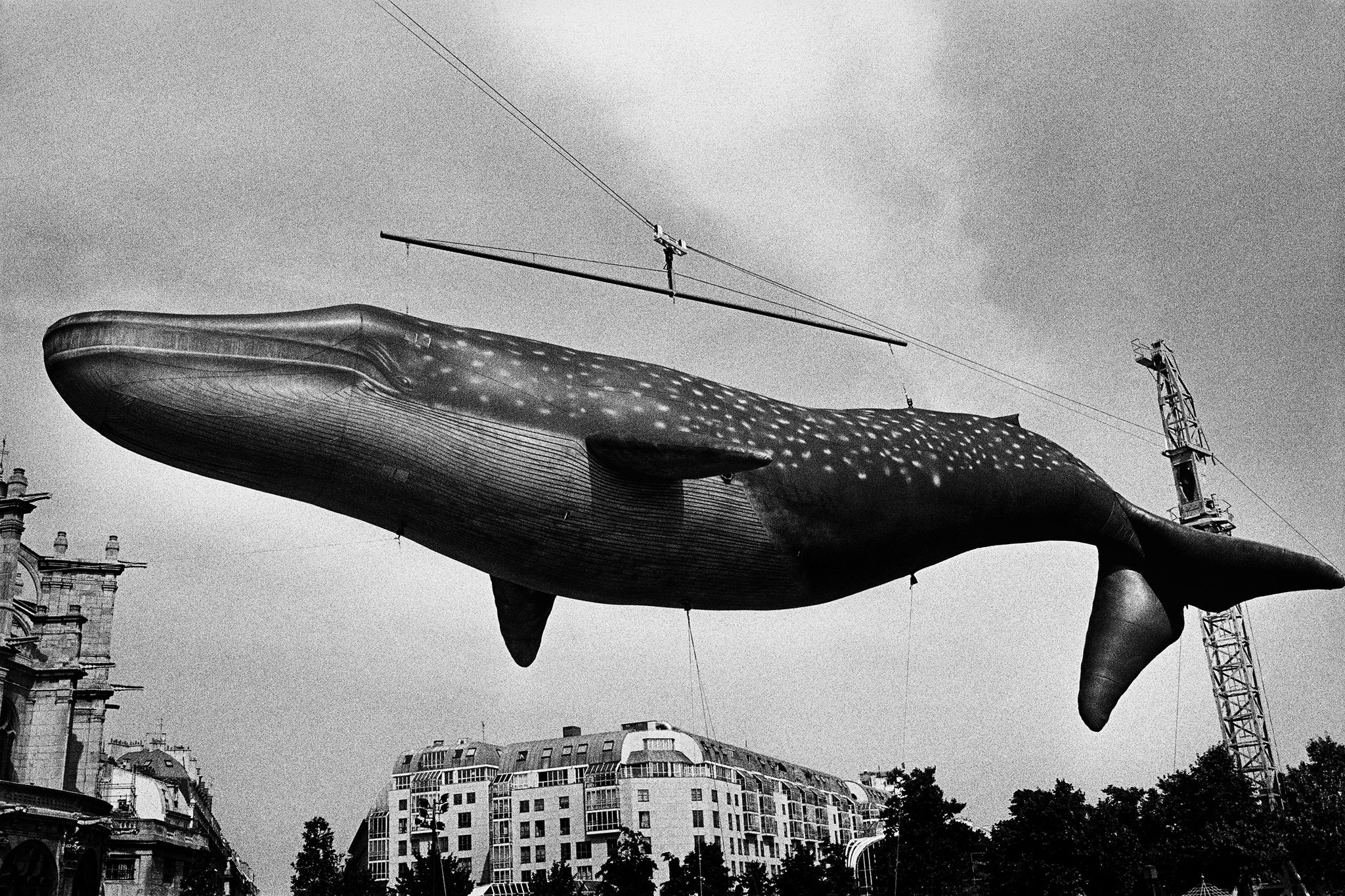 Daido Moriyama, balena gonfiabile, skyline Parigi
