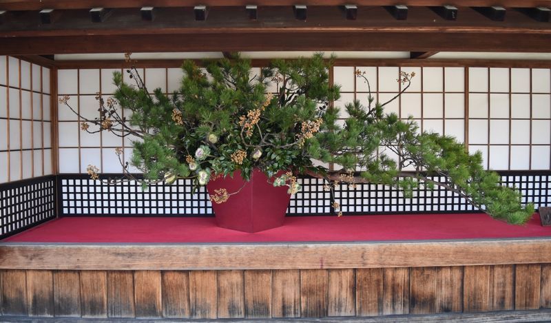 【ファッション通販】 daikakuji-1575192910.jpg?crop= 花器、壷