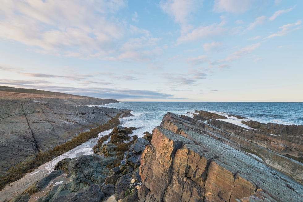 daleys point newfoundland