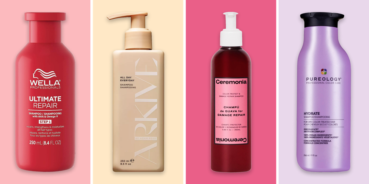 15 Best Shampoos for Damaged and Dry Hair of 2024