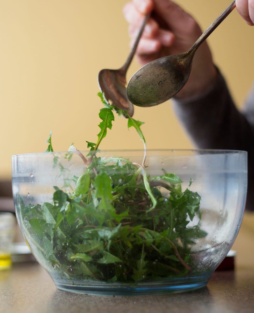 dandelion greens salad