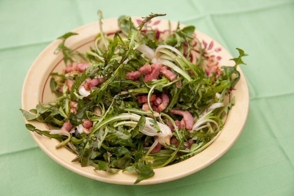 Garden cress is queen of the greens, vegan recipes