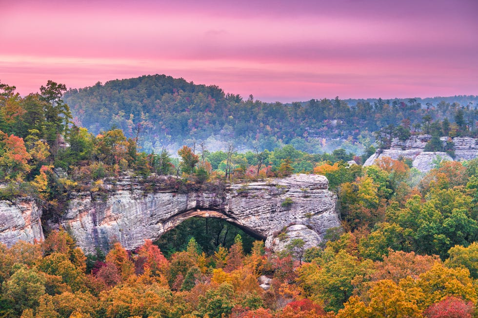 daniel boone national forest