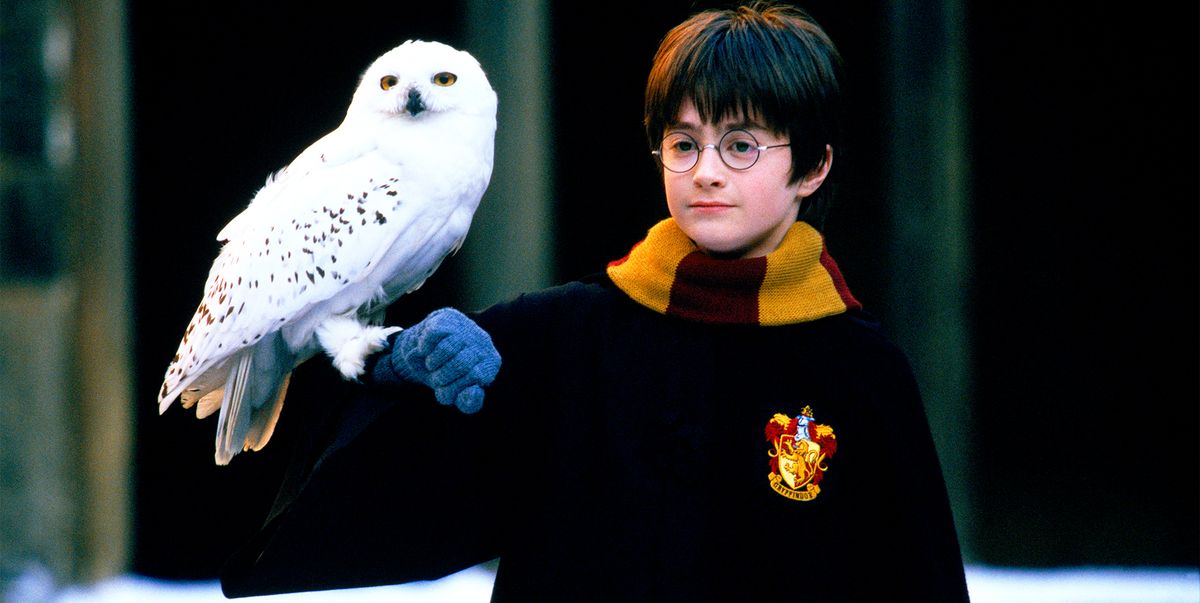 Daniel Radcliffe deja a todos en shock al revelar el mítico actor de Harry Potter que le aterrorizaba: "Creía que me odiaba"