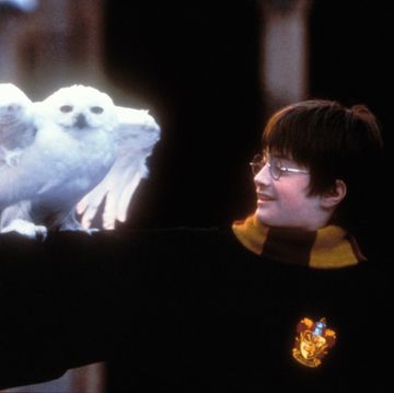 harry potter and the sorcerer's stone movie stills