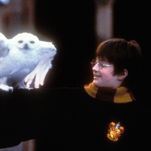 harry potter and the sorcerer's stone movie stills