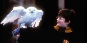 harry potter and the sorcerer's stone movie stills