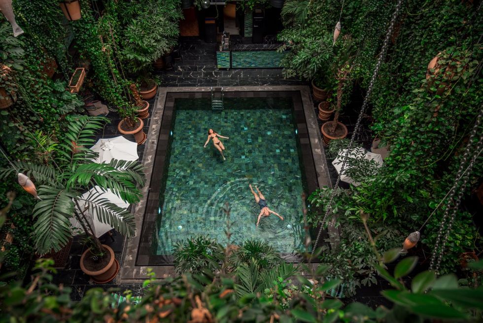 a pool surrounded by plants and trees