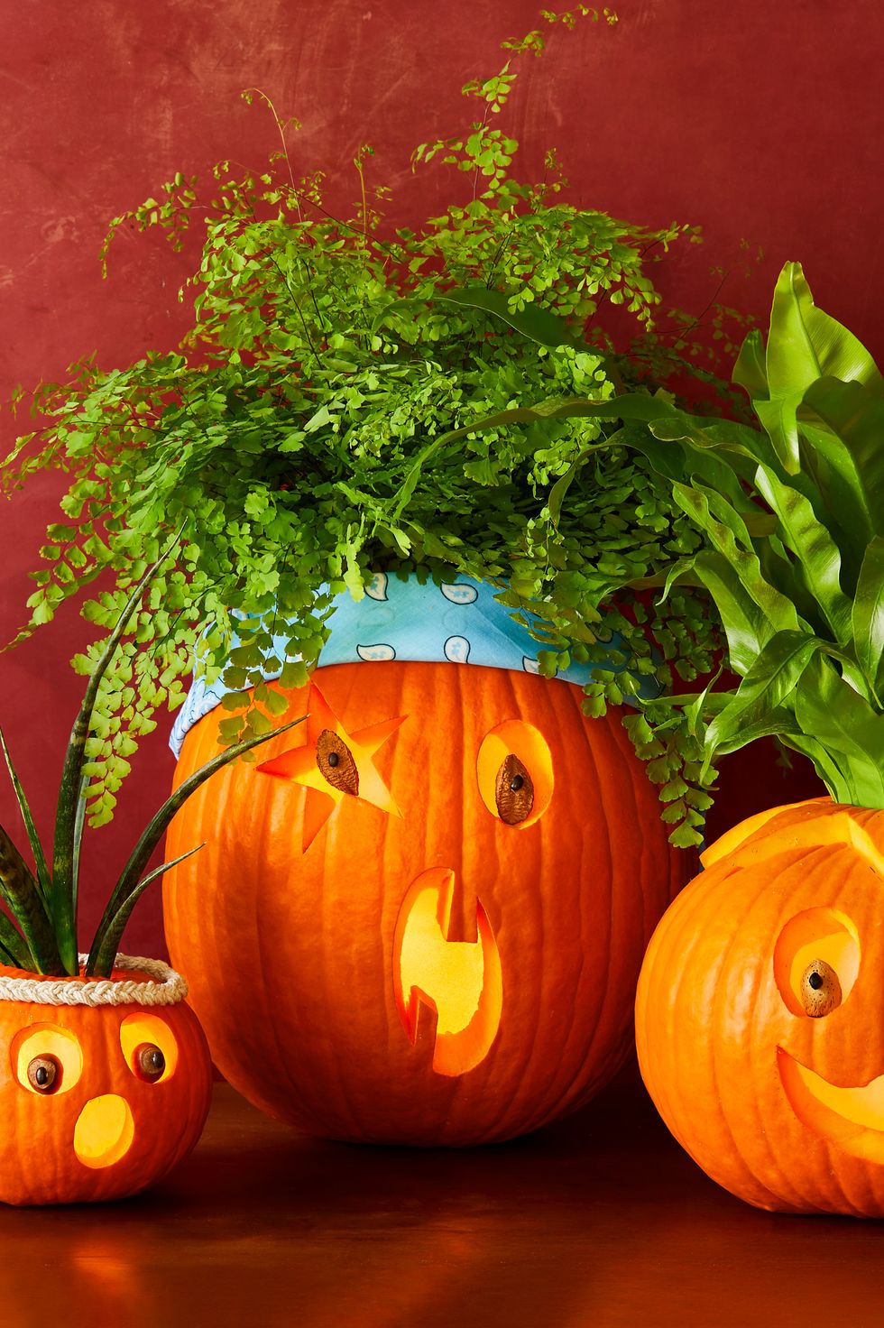 diy halloween decorations womans day october 2022 pumpkin planters