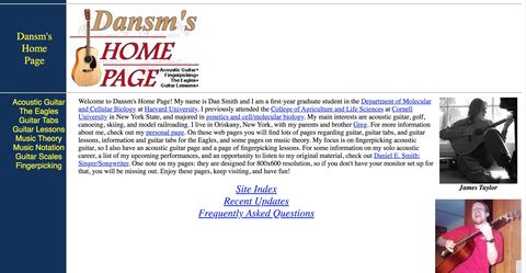 Screenshot of the Dansms website