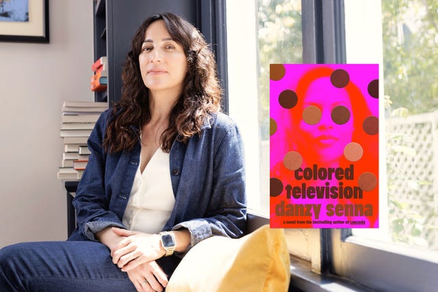 danzy senna, colored television