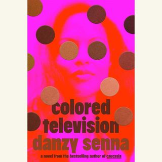 danzy senna, colored television