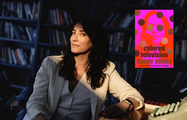 danzy senna, colored television