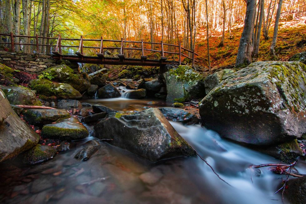 ﻿cascate del dardagna in autunno, ponte e foliage