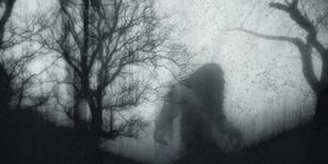 a mysterious bigfoot, walking through a forest, silhouetted against trees on a foggy winters day