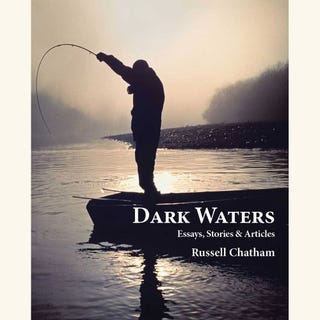 dark waters by russell chatham