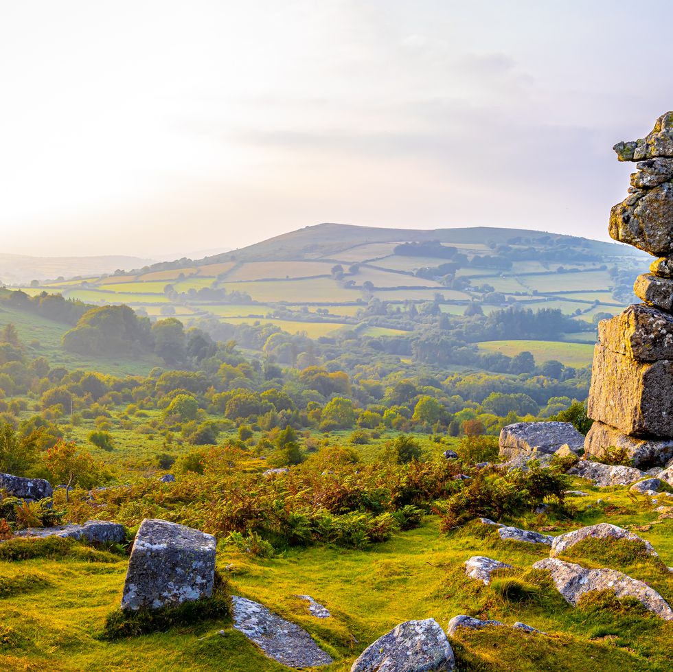 a view of bowermans nose in dartmoor national park, a vast moorland in the county of devon, in southwest england, uk