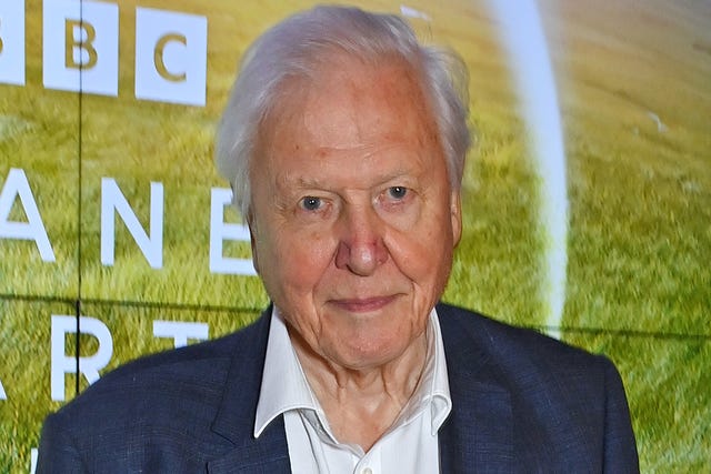 Sir David Attenborough sir david attenborough