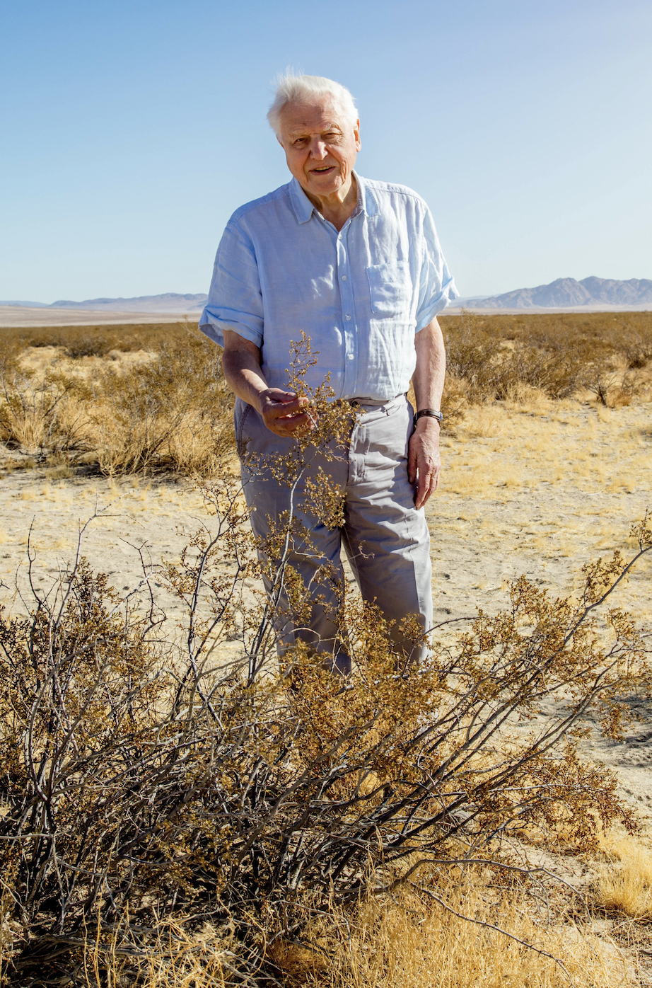 Sir David Attenborough steht in der Wüste im Süden Kaliforniens