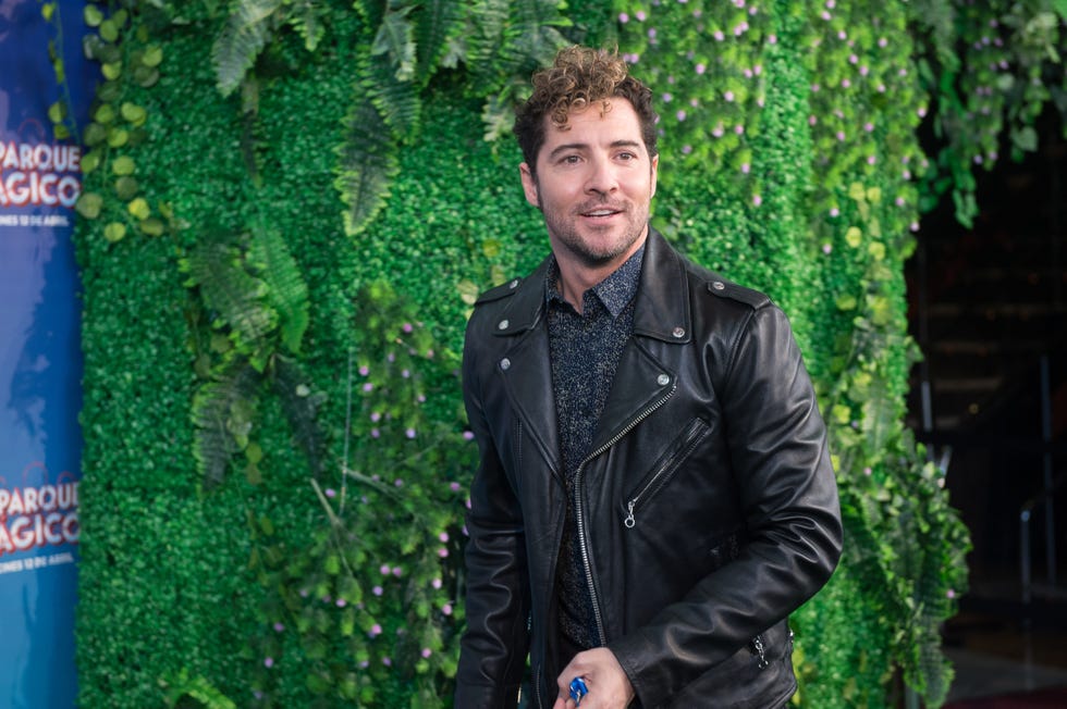david bisbal