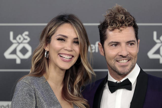david bisbal y rosanna zanetti