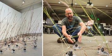 mars wind test, david bowen