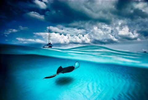 Een pijlstaartrog en een zeilboot in North Sound bij Grand Cayman Deze beschermde zandbank is een van de populairste snorkellocaties ter wereld waar deze goedaardige ambassadeurs van de oceaan dagelijks duizenden toeristen begroeten Doubilet hoopt dat dit soort beelden die niet iedereen zelf kan zien een nieuw perspectief bieden op de oceaan en dat die aantonen hoe sterk we verbonden zijn met onze blauwe planeet