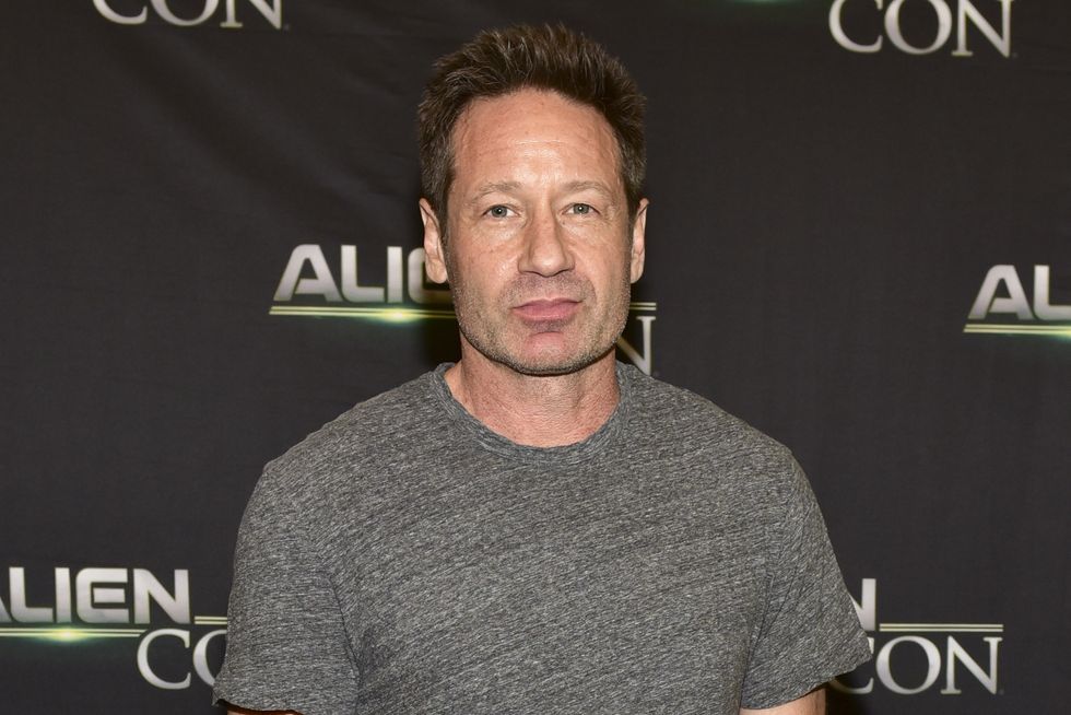 david duchovny wearing grey tshirt and brown trousers