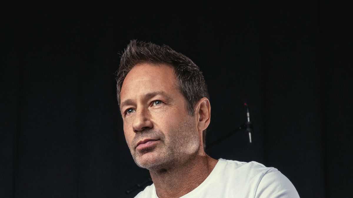 David Duchovny's 'Bucky ____ Dent' - The New York Times