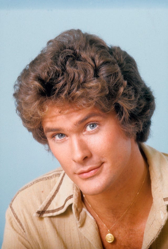 David Hasselhoff joven