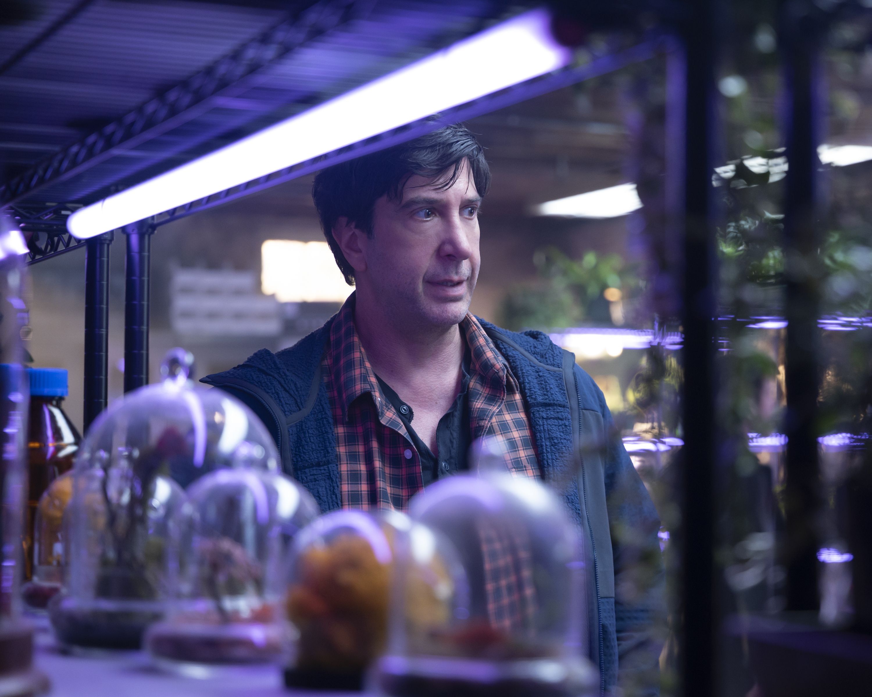 David Schwimmer's returning Disney+ series drops first-look trailer