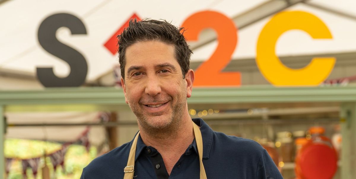 The Great Celebrity Bake Off viewers fall in love with David Schwimmer